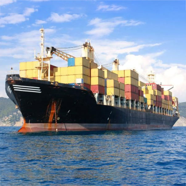  Why should you choose sea freight services?