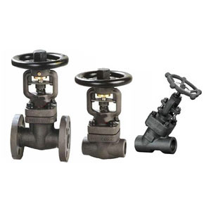 Ball Valves vs. Globe Valves: What's the Difference?