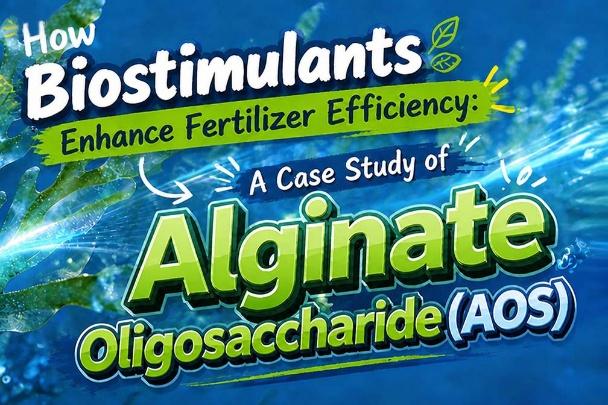 Reliable China Fertilizer Additives: A Guide to Sourcing the Best Options