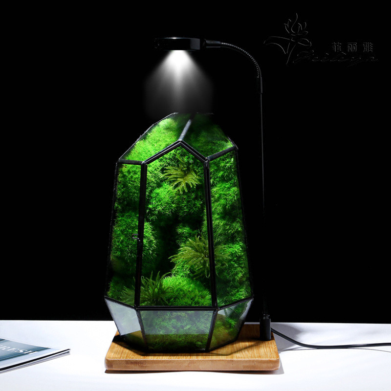 Decorative Moss Original Manufacturer: What Sets Quality Craftsmanship Apart
