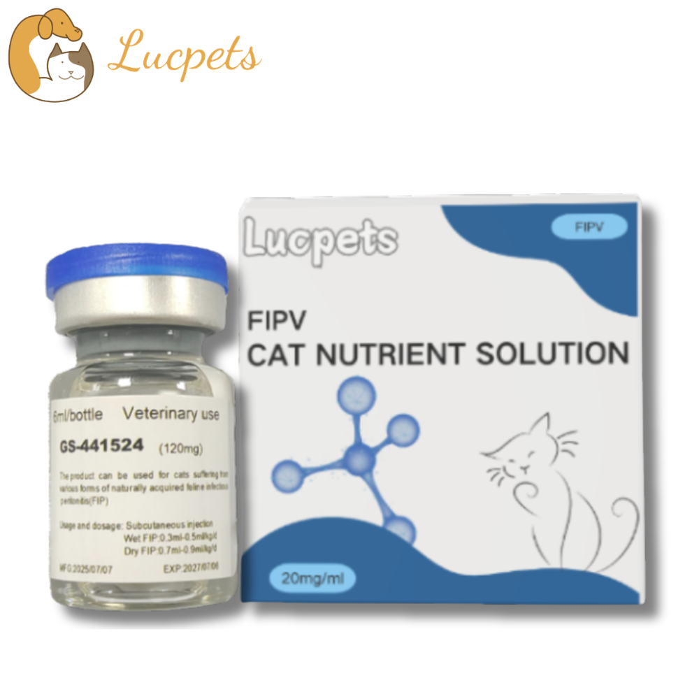 GS-441524 Injection Manufacturer for Veterinary Use: Key Factors to Consider